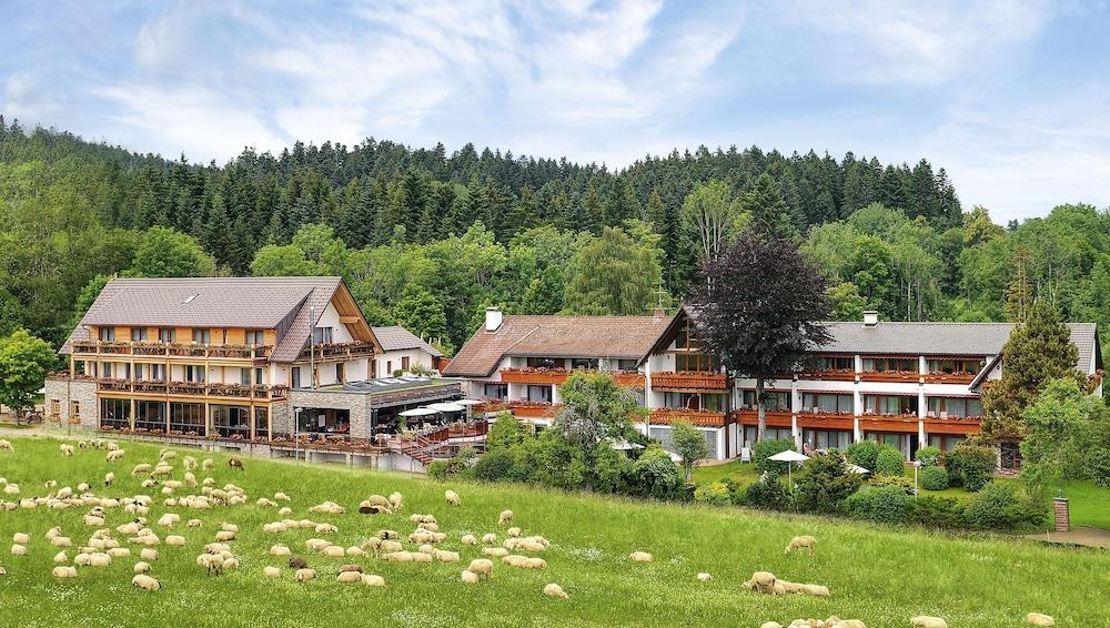 Hotel Gruener Wald Freudenstadt Bagian luar foto
