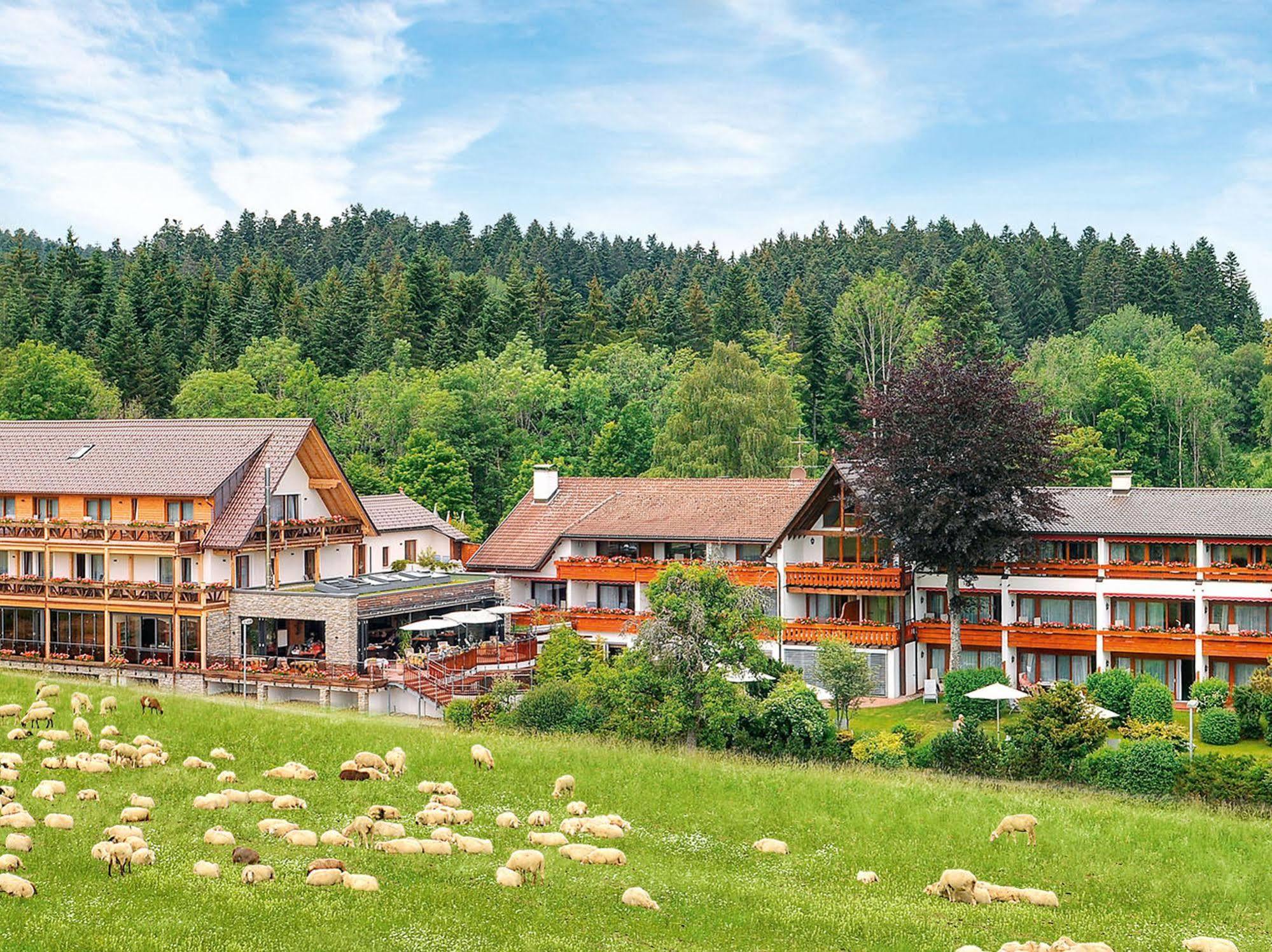 Hotel Gruener Wald Freudenstadt Bagian luar foto